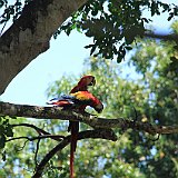 Costa Rica20150407-1839-1318